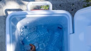 Portable Coolers buying guide for Summer 2025