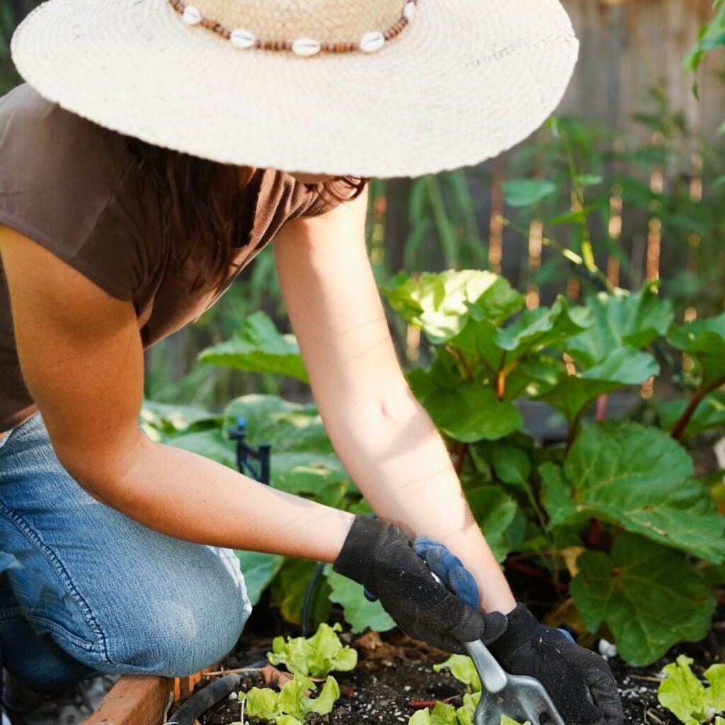 10 Must-Have Summer Gardening Tools for 2025